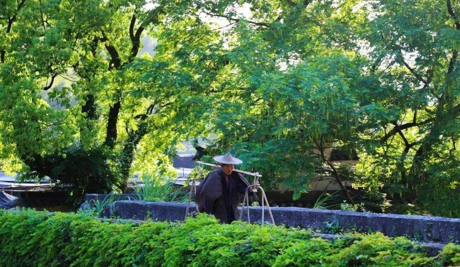 警察战僵尸无敌版